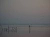 IMGP1411.jpg