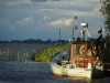 IMGP2204.jpg